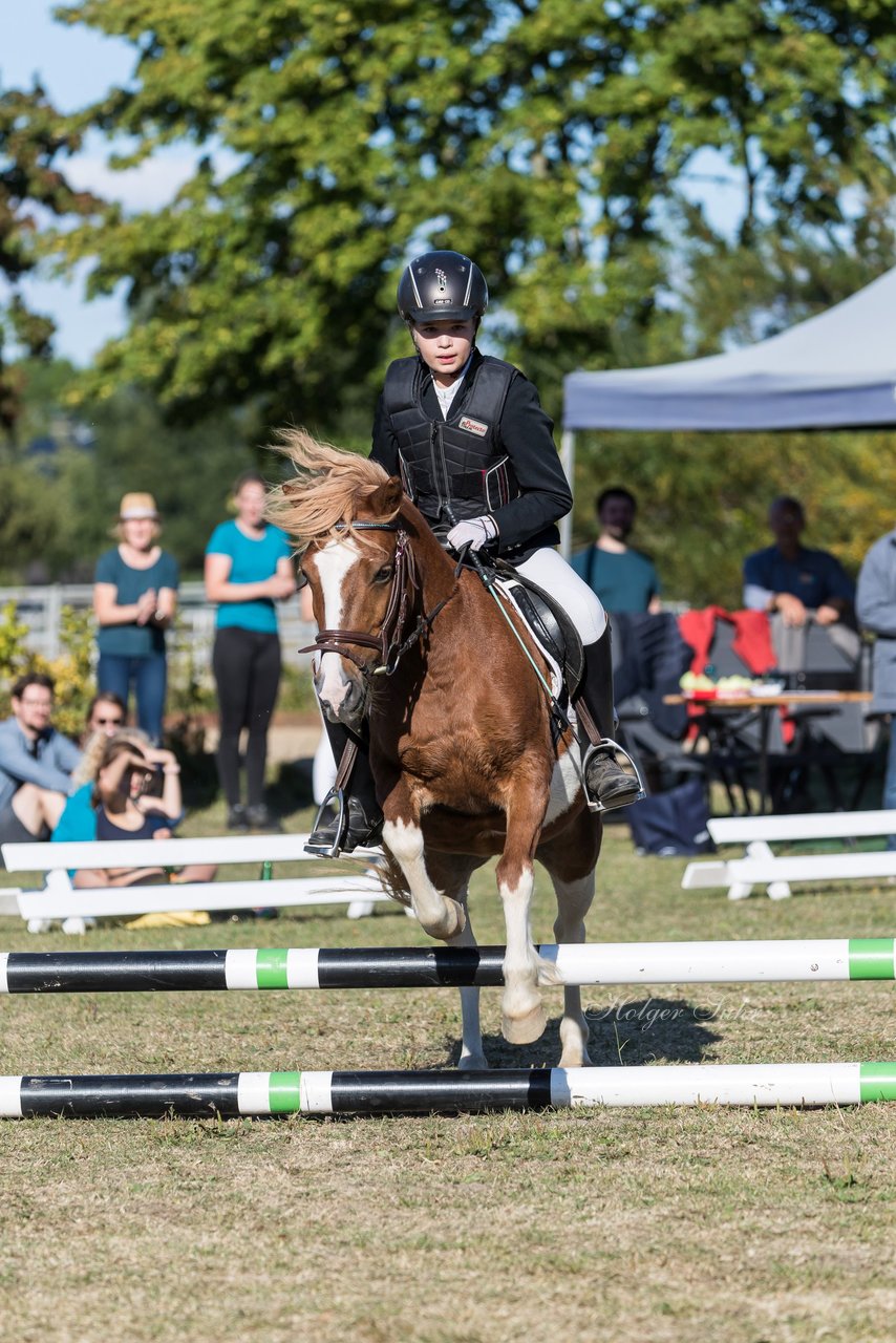 Bild 37 - Pony Akademie Turnier